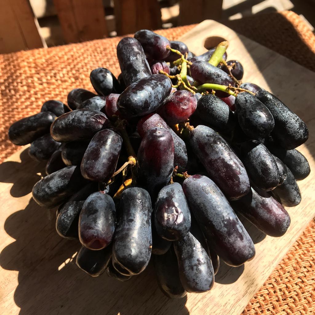 

MANGANOBUAH - ANGGUR JARI SWEET SAPPHIRE MOONDROP SEEDLESS
