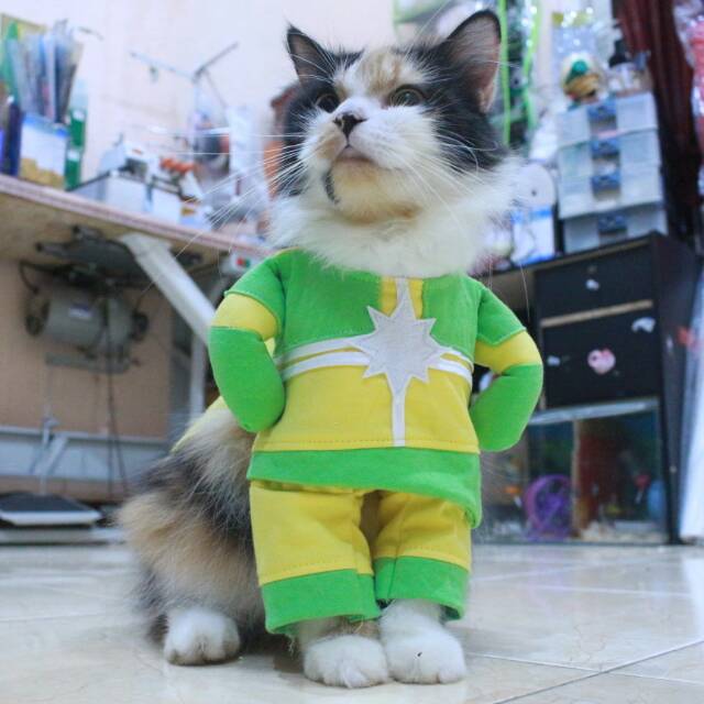 Kostum kapten marvel another untuk kucing dan anjing / baju kucing murah size S M L XL