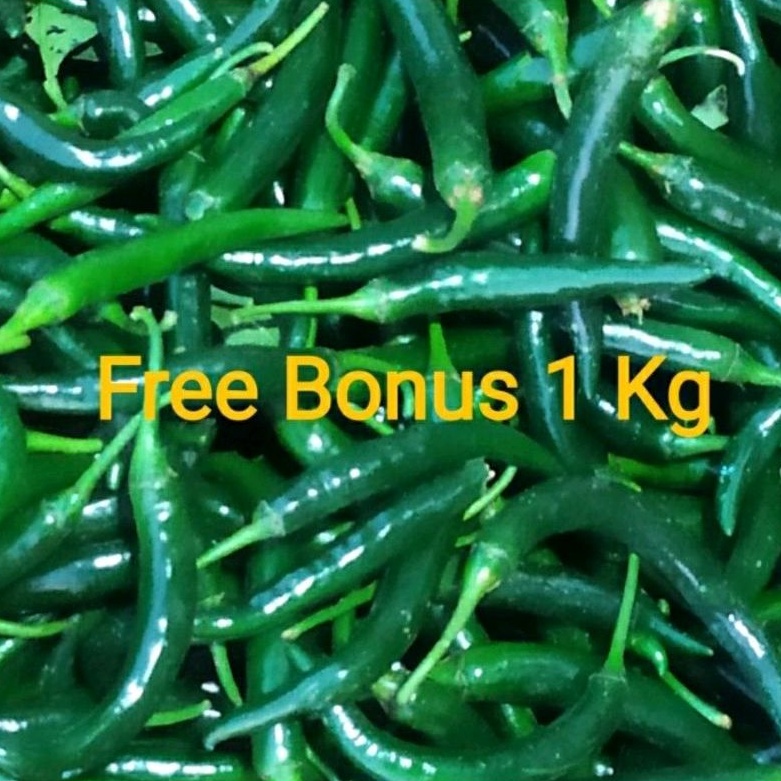

Cabe Hijau + Gratis Bonus