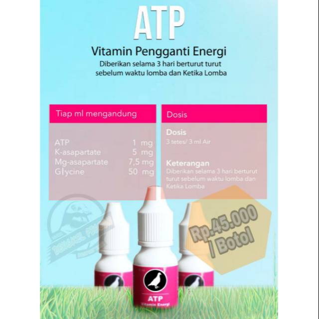 Vitamin tetes khusus lomba vitares ATP pengganti energi burung merpati dara kolongan balap pos