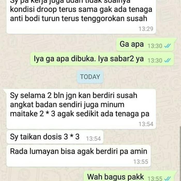 

BEST SELLER ZIRZACO MAITAKE MUSHROOM !!!