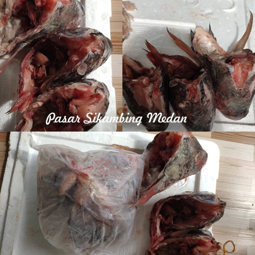 Kepala Ikan Nila /Besar  (dari PT) 3-4 Sekilo | Sayur Segar Medan