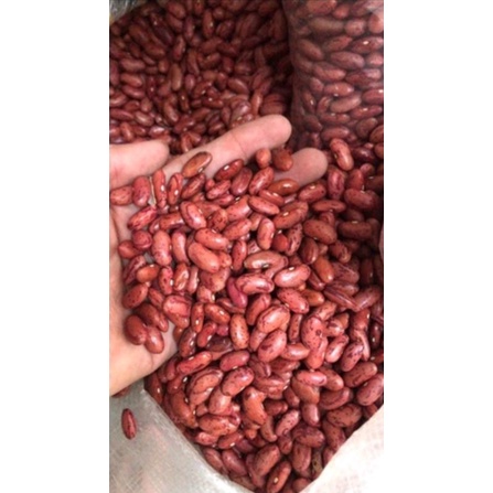 

KACANG MERAH JOGO ORGANIK KACANG JOGO 500 GRAM