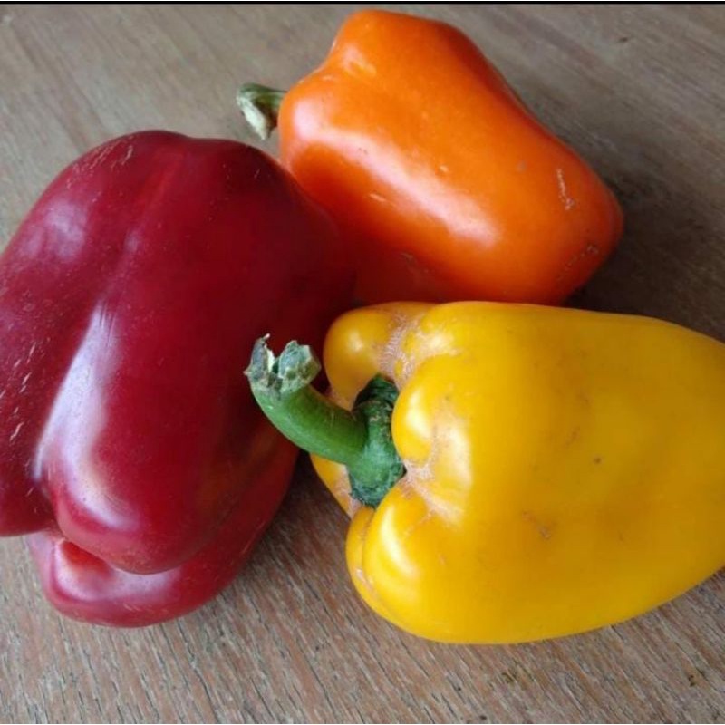 

Paprika Merah 500gr