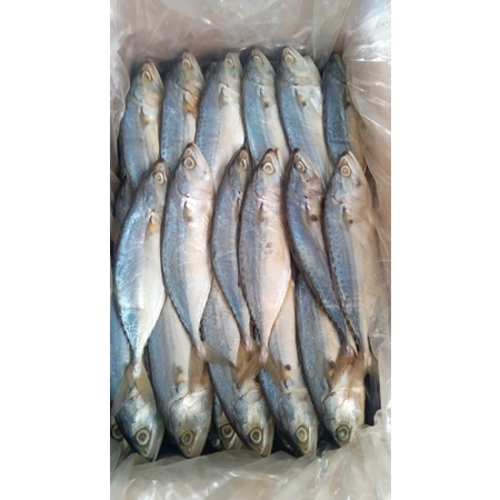 

IKAN ASIN PEDA/PEDO (250gr)