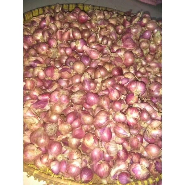 

Bawang Merah 250gr