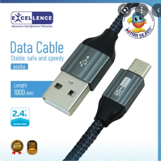 KABEL DATA EXCELLENCE ASOKA TYPE C 1Meter