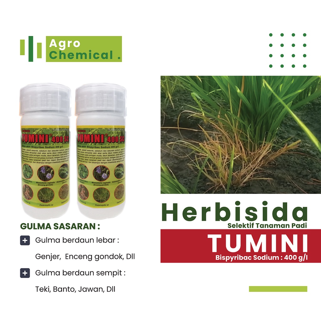 Obat Pembasmi Gulma/Rumput Padi - Herbisida Tumini 100ml