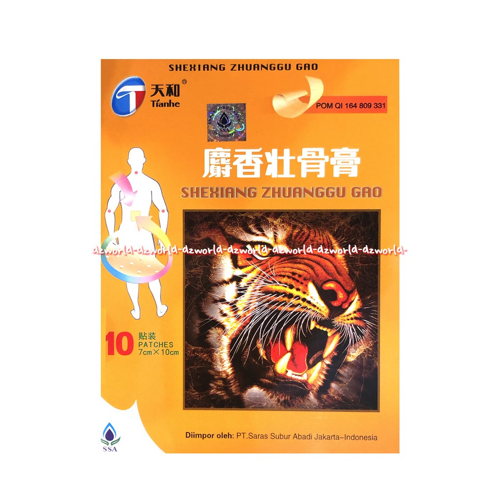 Shexiang Zhuanggu Gao 10 Patches Koyo Rematik Sexiang Shesiang