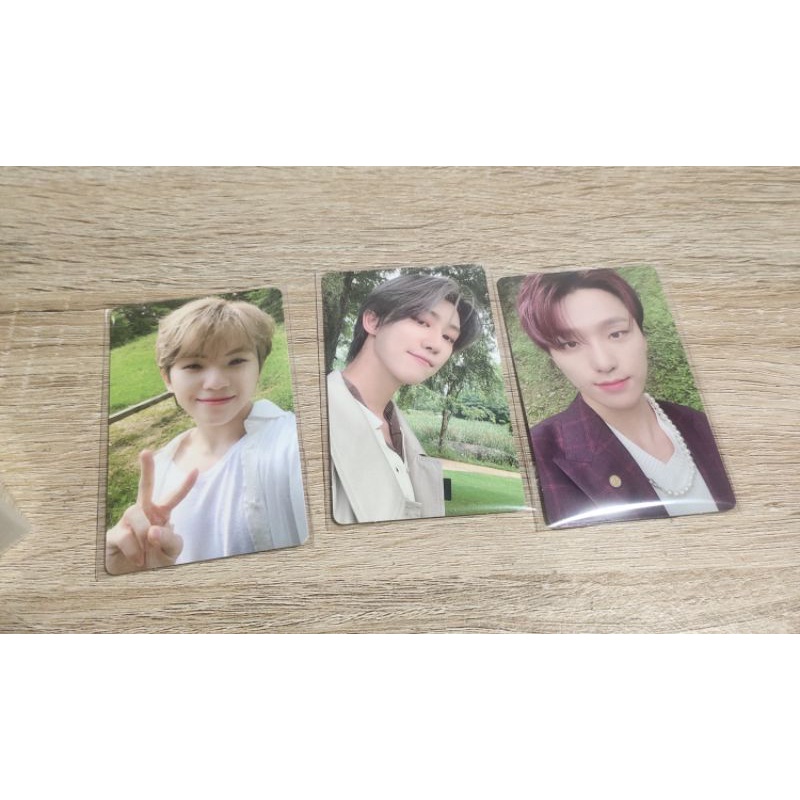 Social Club Seventeen woozi the8 dino