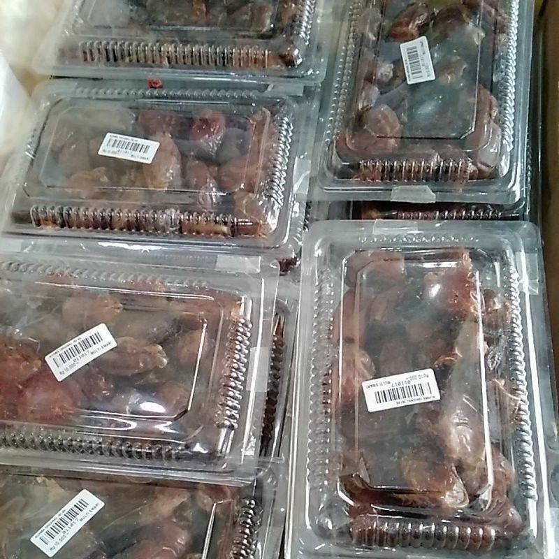 

KURMA ORIGINAL