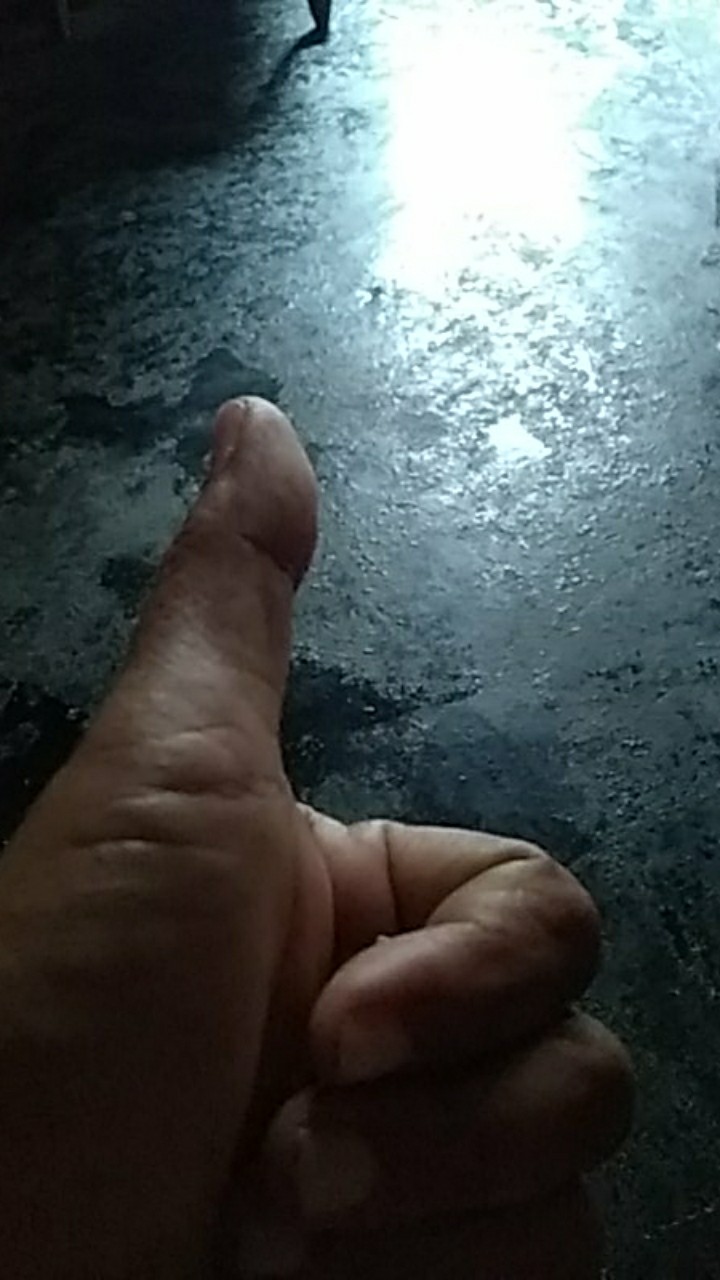 Benih Padi Unggul If16 Bibit Padi If 16 Bobot 5kg