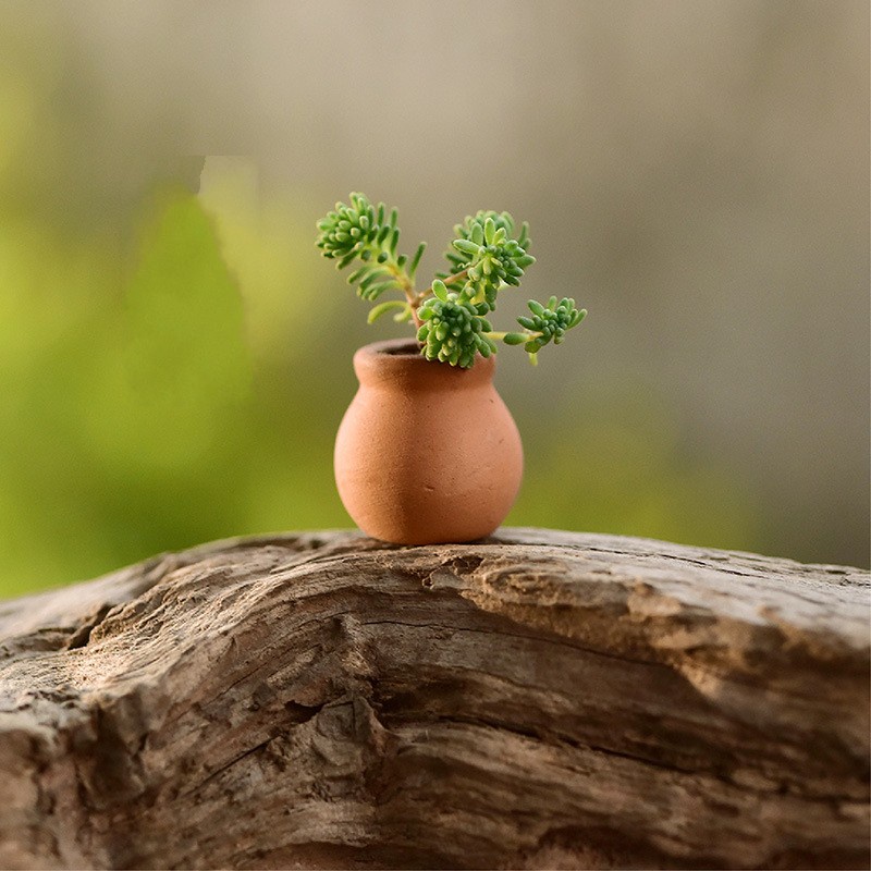 Small Mini Terracotta Flowers Pot Clay Ceramic  Round Pottery Succulent Plant Pots / Home Garden Balcony Mini garden Accessories Pocket Thumb Fleshy Leaf Cutting Flower Pots /For Office Home Desktop Decor