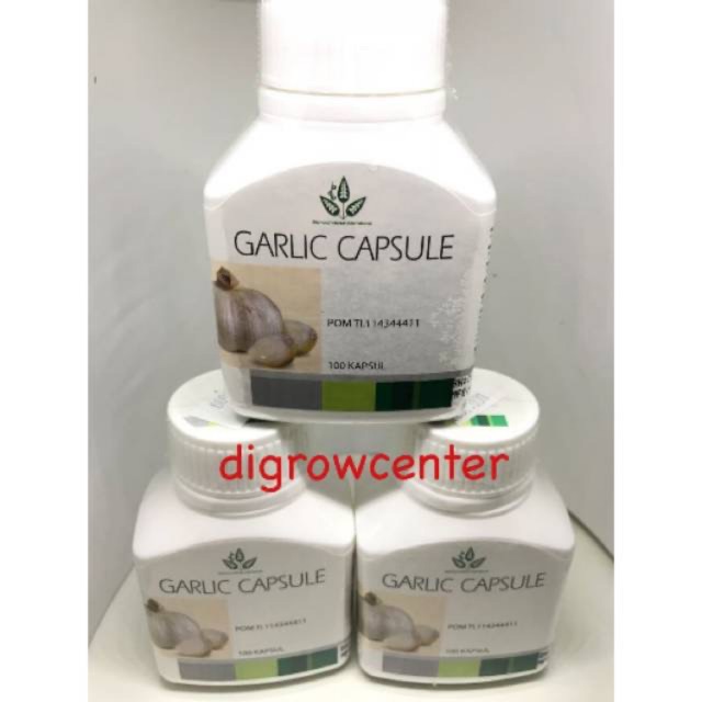 GARLIC PLUS / OBAT KOLESTEROL HERBAL 100 tablet DIAMOND INTEREST
