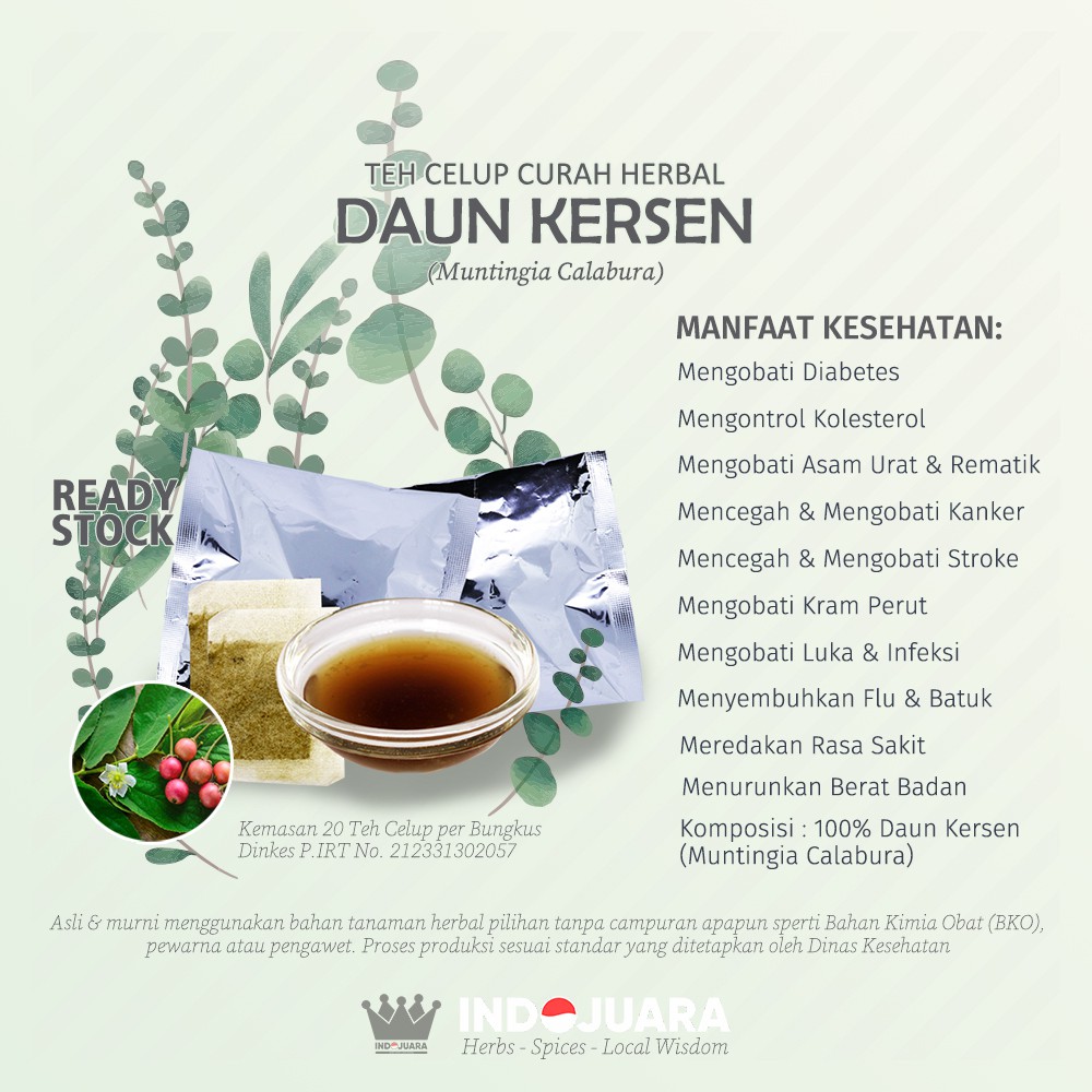 Daun Kersen Teh Celup Curah Herbal 10 Bks Diabetes Stroke Rematik Luka Asam Urat Hipertensi Insomnia Shopee Indonesia