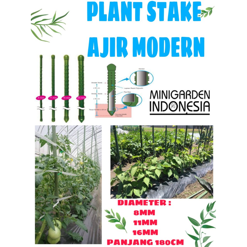 PLANT STAKE AJIR MODERN 180 CM KUALITAS JEPANG penyangga tanaman merambat 0,8X180 CM 1,1X180 CM