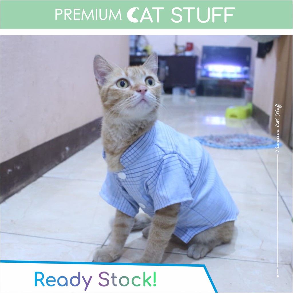 Premium Cat Stuff #124 | Baju Koko Kucing Warna biru laut / Baju kucing kualitas terbaik size S-XL