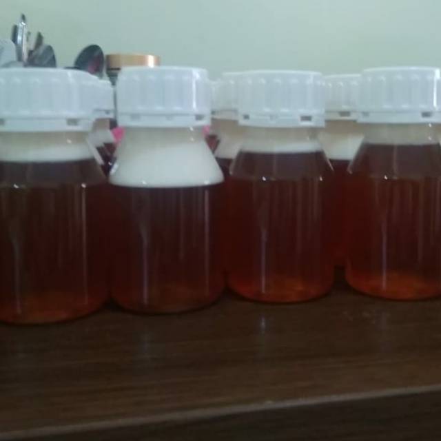 

Madu Hutan Kalimatan
