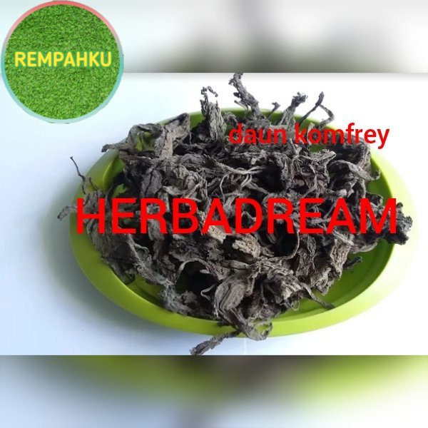 

DAUN KOMFREY COMFREY KERING 1 KG - Symphytum - MURNI - JSR - REM