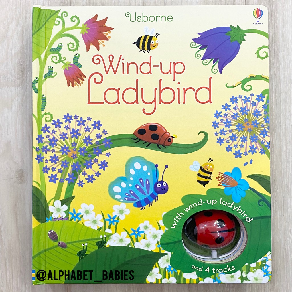 Usborne Wind-Up Ladybird (With A Wind-Up Ladybird and 4 Tracks)