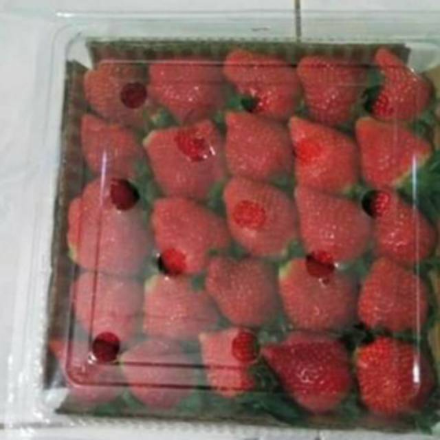 

Strawberry pc jumbo