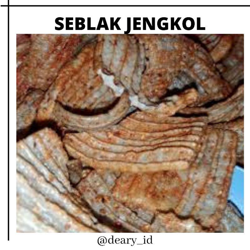 

Seblak Jengkol 250gram/ Promo Cemilan Murah/ Jajan Murah