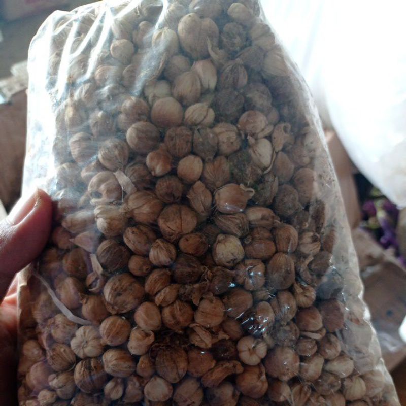 

KAPULAGA LOKAL KERING 100GR