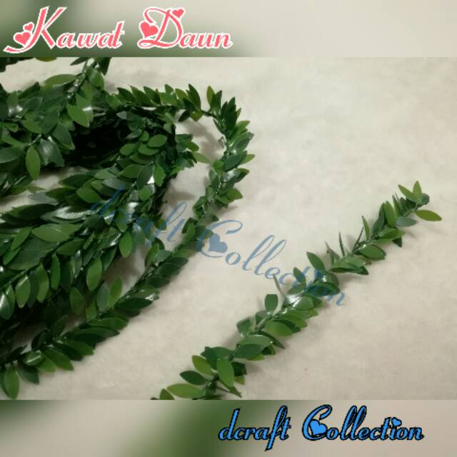 Kawat Daun