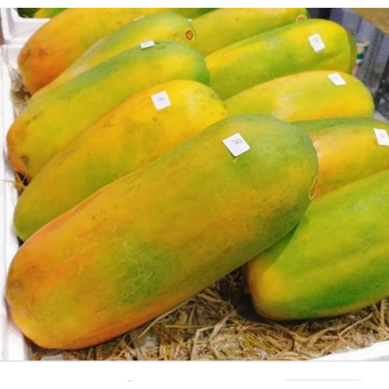 

buah pepaya California