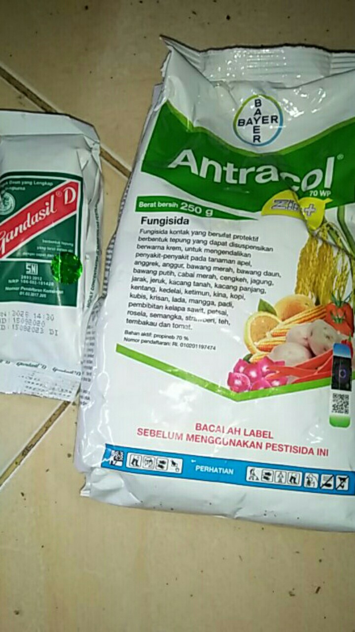 Antracol 250gr