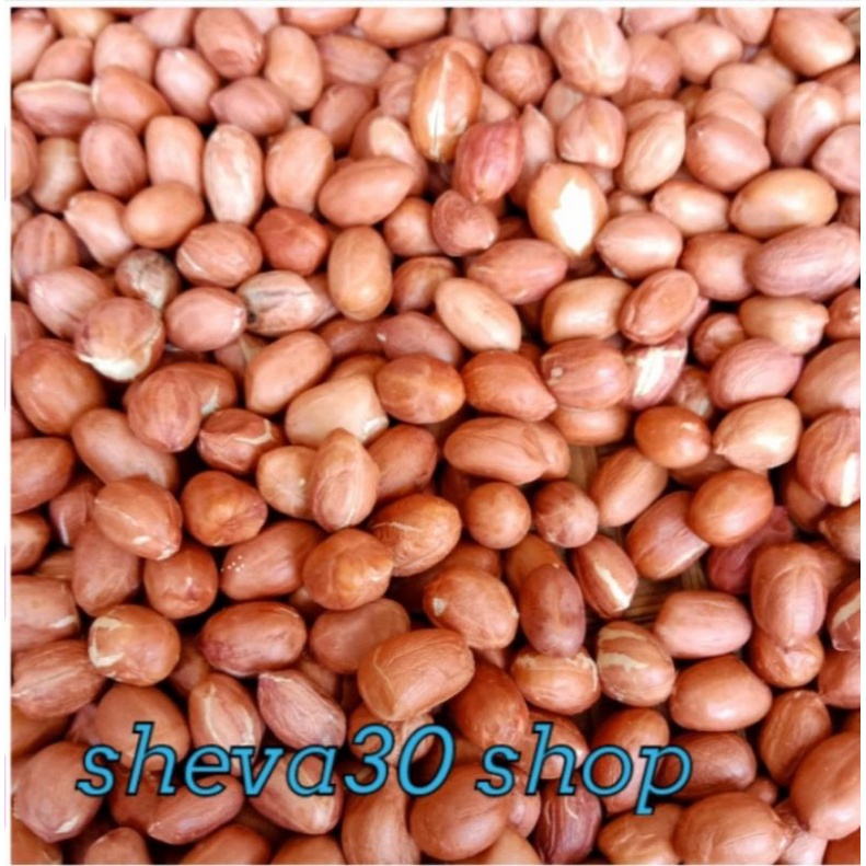

Kacang Tanah Kulit Mentah 1 kg