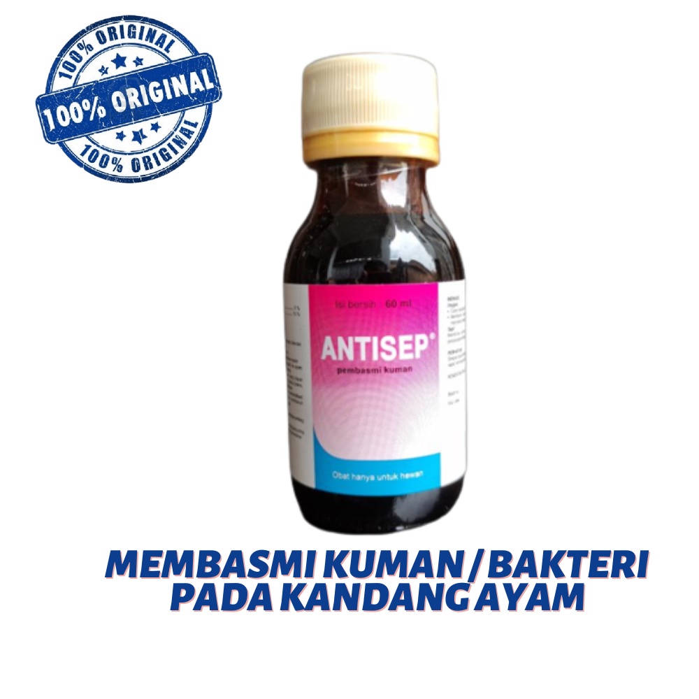 ANTISEP 60 ml pembasmi kuman dan virus kandang