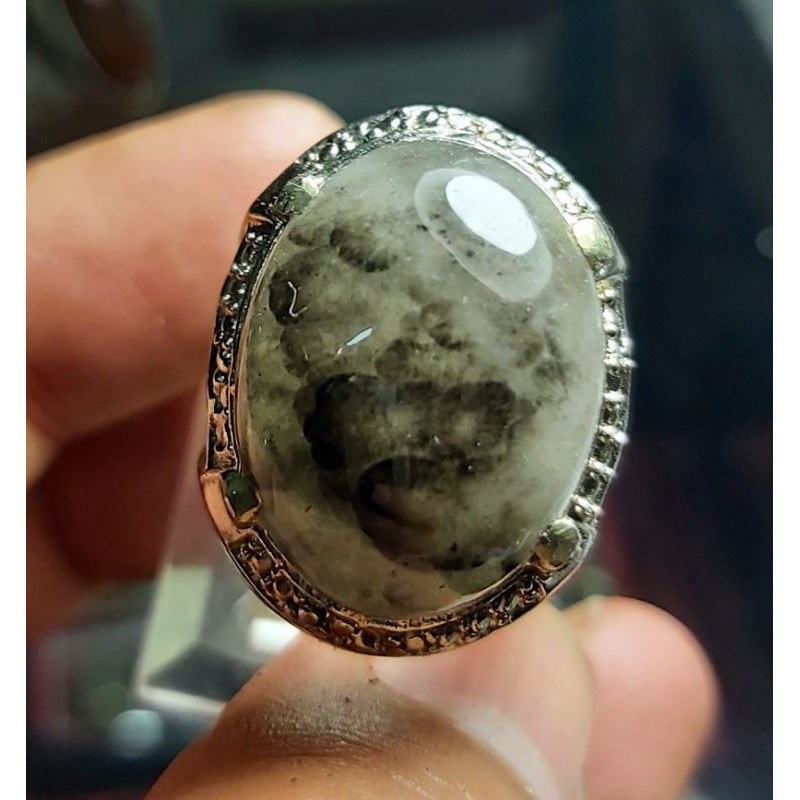 Kecubung Rambut Hitam