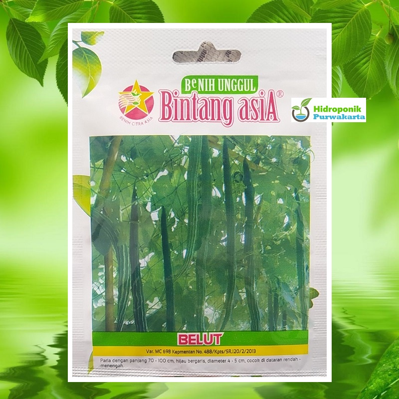 Benih Paria Pare BELUT Cap Bintang Asia Isi 4 Gram Kemasan Original