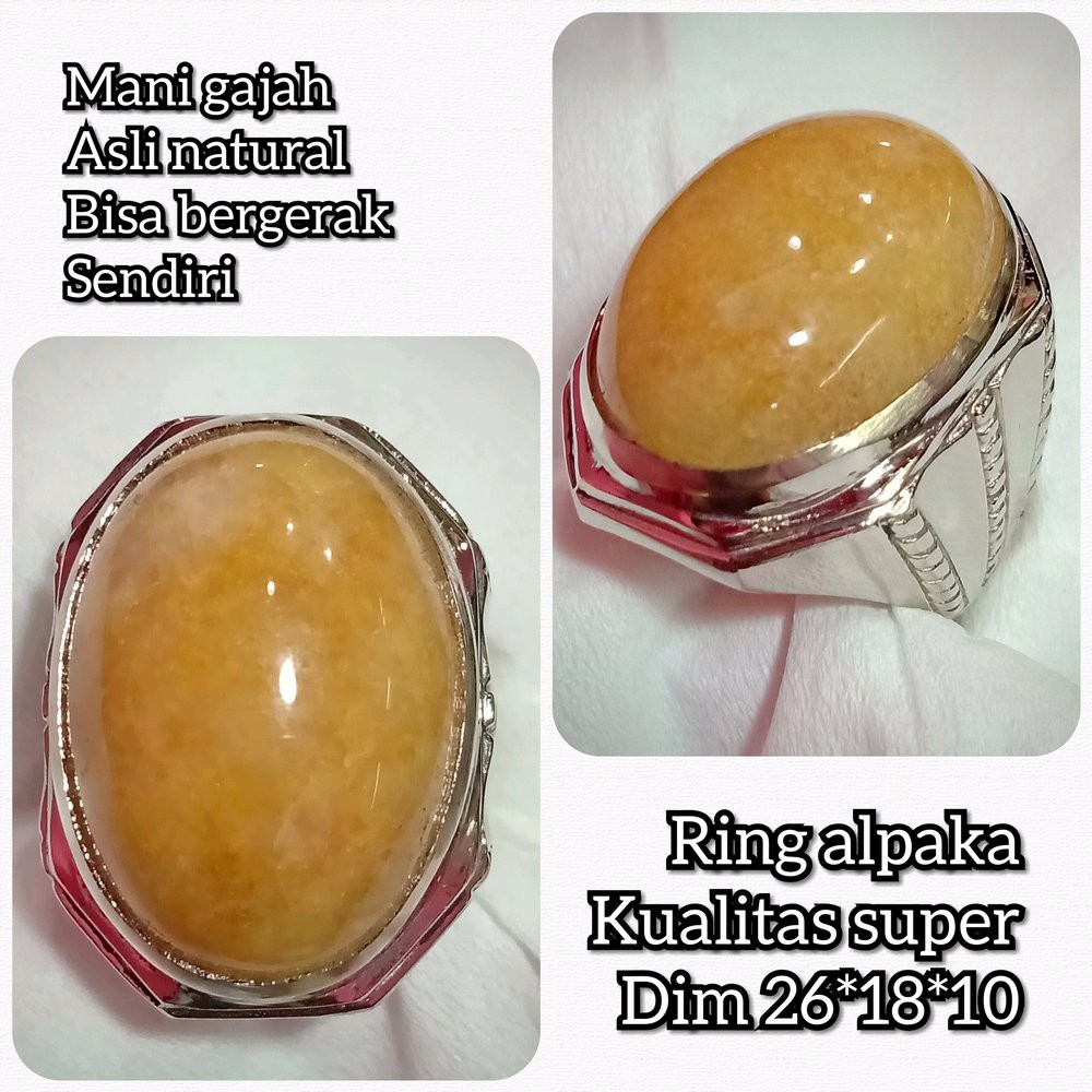 Cincin Batu Akik Mani Gajah Asli Natural 01 Shopee Indonesia