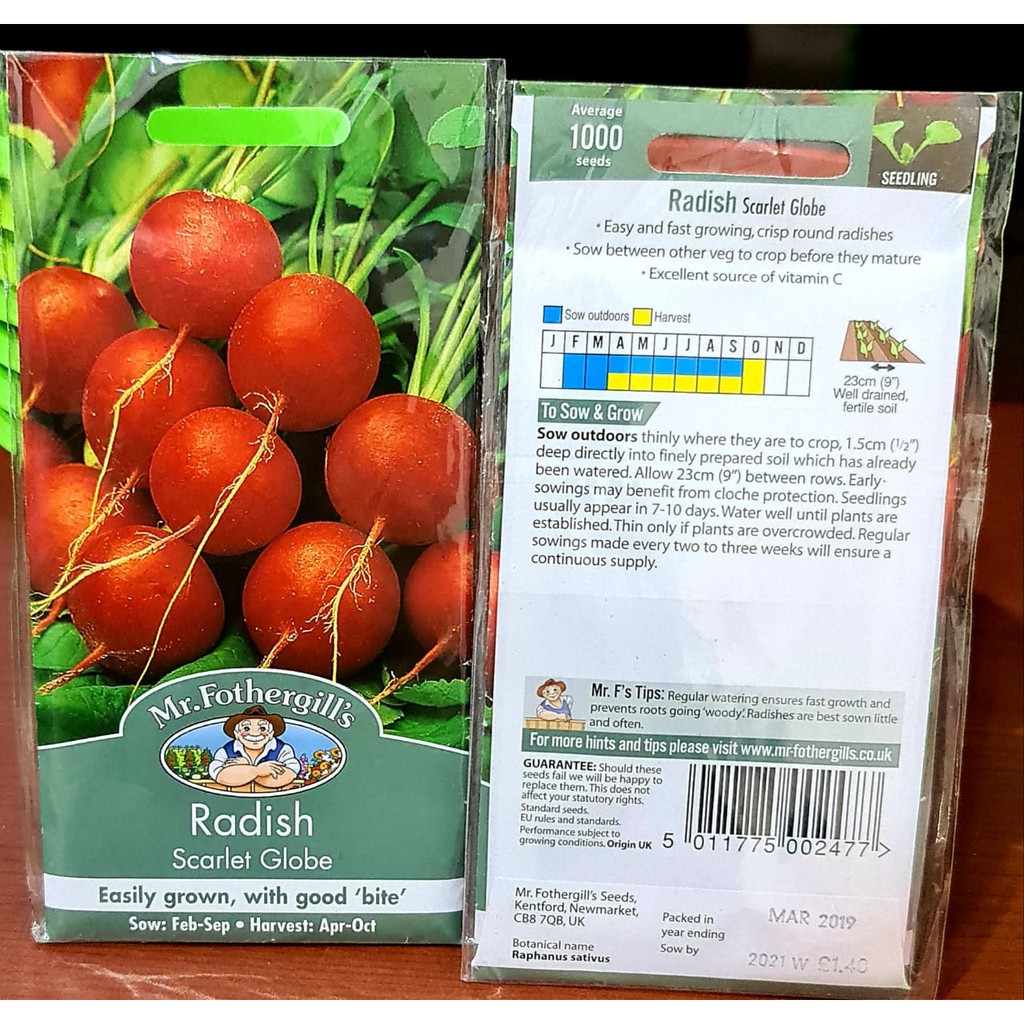 BENIH LOBAK MERAH RADISH SCARLET GLOBE PACK 1000 BIJI bibit sayur lobak merah import F1 Mr. Fothergills