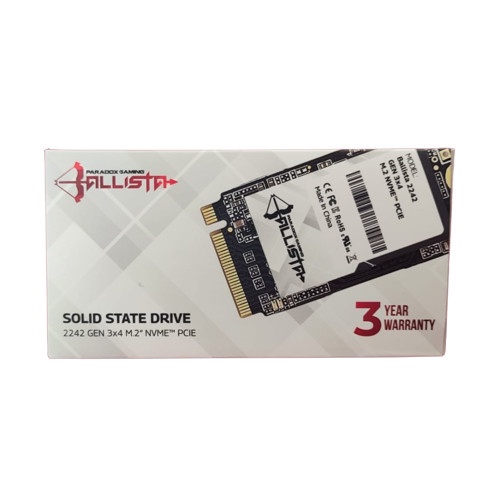 Paradox Gaming Ballista SSD 1TB M.2 NVMe 2242 / SSD M.2 1TB