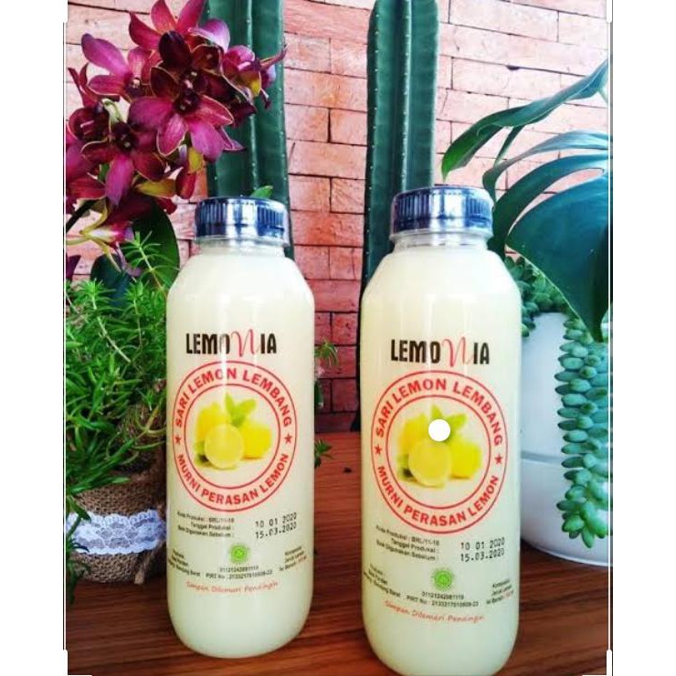 

Paket 250 ml [BISA COD] Sari Lemon Peras_Lemonia Lembang