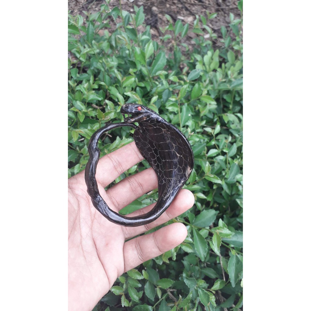 gelang akar bahar ukir cobra
