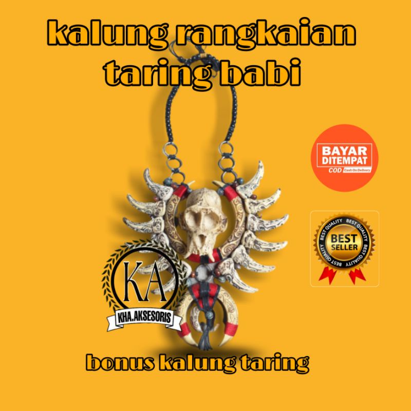 Kalung Etnik Dayak Kalimantan Taring Babi Variasi Tengkorak Kepala Kera Dan Taring Macan Mirip Asli