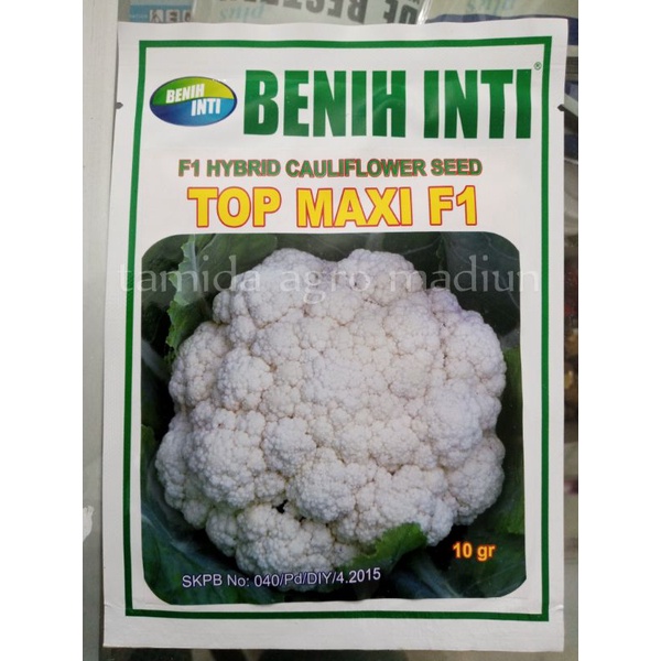 benih bibit cauliflower TOP MAXI F1 10gr rekomendasi dataran rendah-menengah produksi oke panen genj