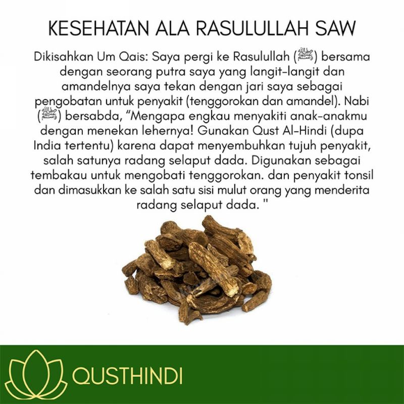 Qusthul Hindi Extract Powder Serbuk Kapsul Original