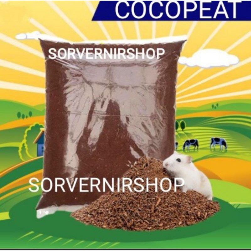 cocopeat halus 1kg cocopeat alas kandang hamster natural