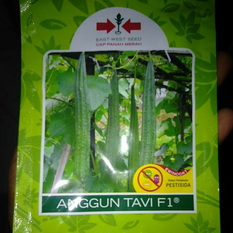 BENIH BIBIT OYONG ANGGUN TAVY F1