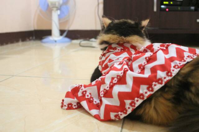 Simple dress motif zig zag untuk kucing dan anjing / baju kucing / dress kucing murah