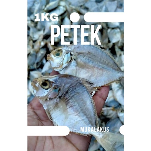

PROMO IKAN ASIN PETEK MURAH KWALITAS TERBAIK 500GR