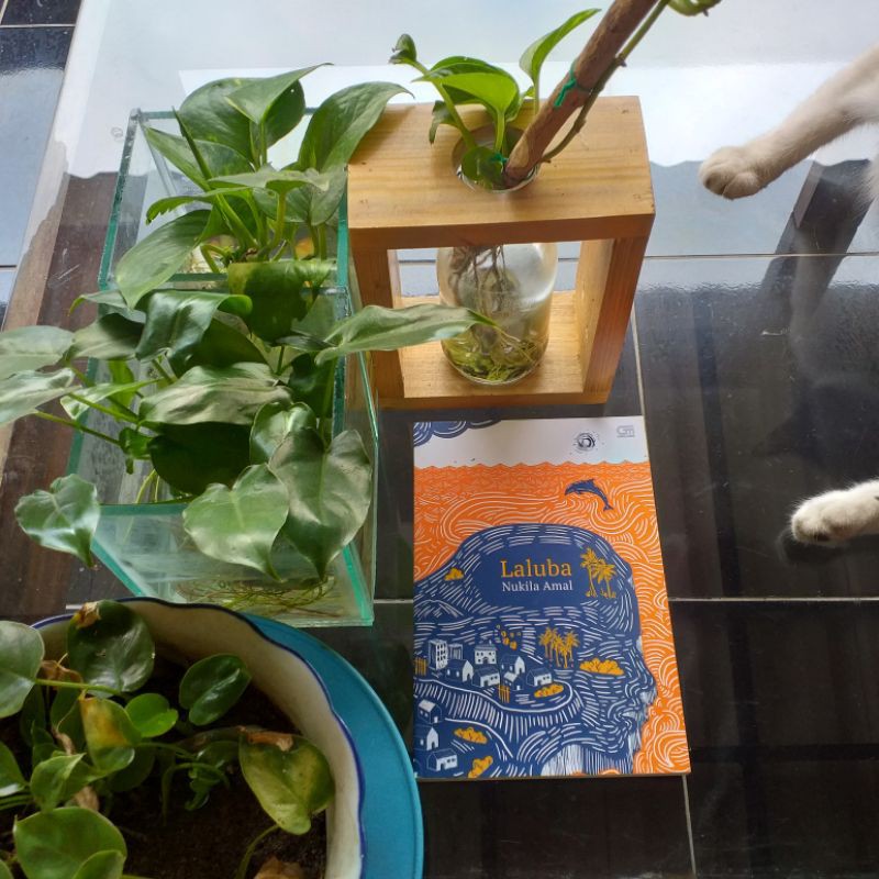 Laluba - Nukila Amal