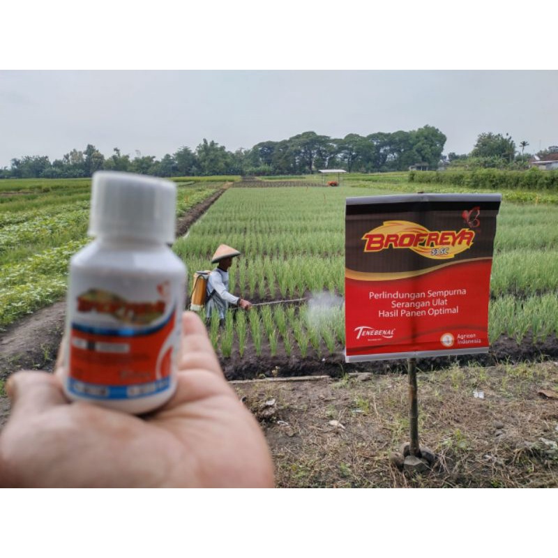 INSEKTISIDA BROFREYA 53 SC TENEBENAL