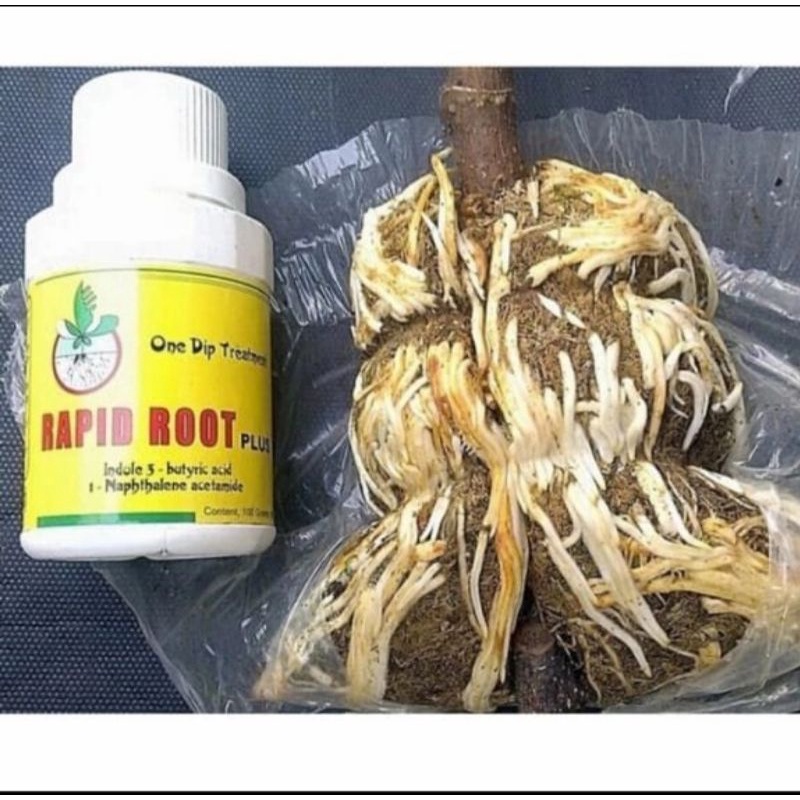 RAPID ROOT Plus 100Gram Horman Penumbuh Akar