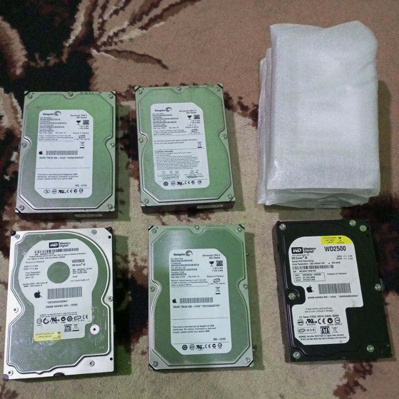 Hardisk 250 GB  SATA PC